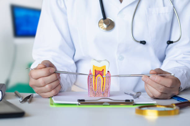 Best Emergency Dental Care for Broken or Chipped Teeth in Hermantown, MN